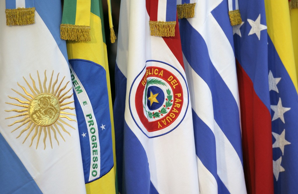 The Paraguayan flag is seen next to other members of the Mercosur during the XLIII Mercosur presidential summit in Mendoza, 1050 Km west of Buenos Aires, Argentina on June 29, 2012. AFP PHOTO / Juan Mabromata