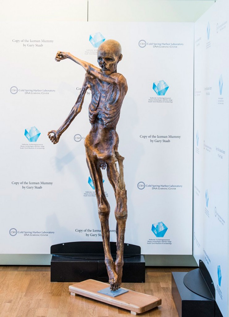 Otzi es la momia humana natural más antigua encontrada de Europa. Con 5300 años, fue descubierta en los Alpes en 1991.
